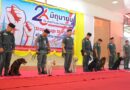 น้องๆ สุนัขสงคราม K9 โชว์การแสดง